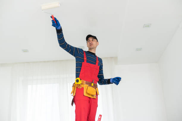 Best Residential Mold Inspection & Testing  in Susitna North, AK