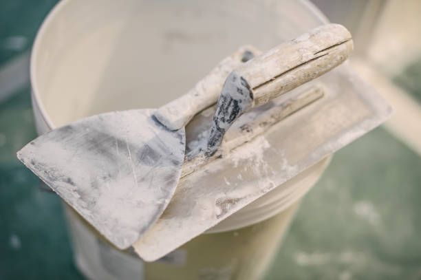 Best Mold Odor Removal Services  in Susitna North, AK